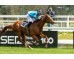  Carrera: P.Luis Manso Monta: A.Serrano Caballo: Araka la Kana